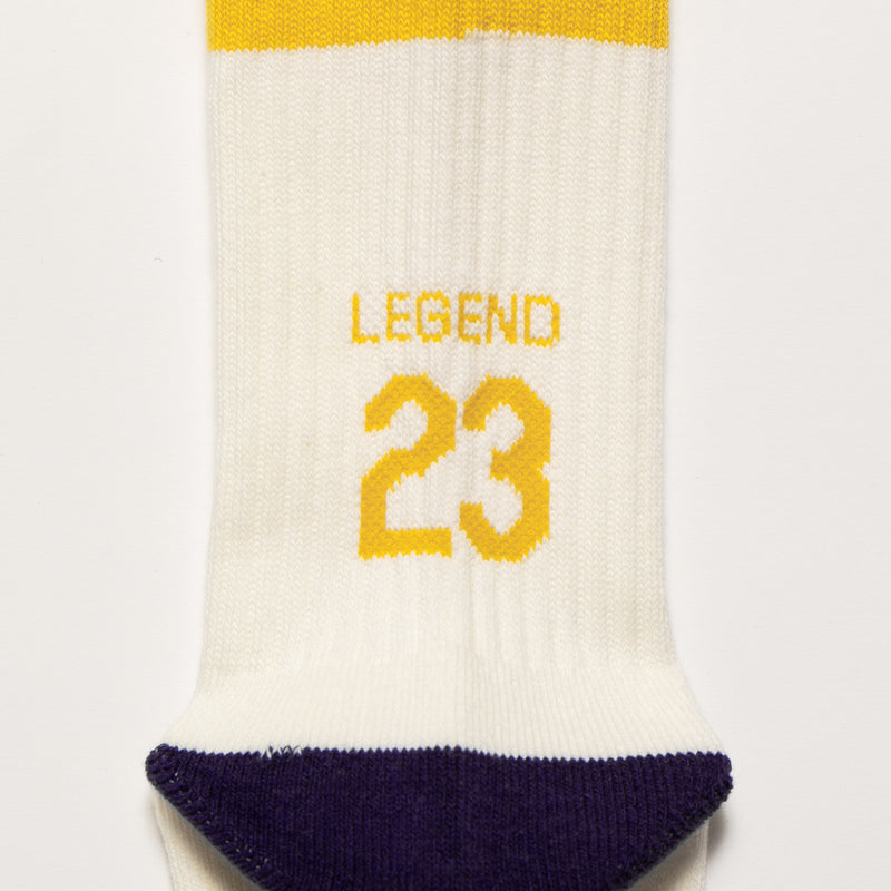 "LEGEND 23"Sox (Purple&Gold) / HS2411005