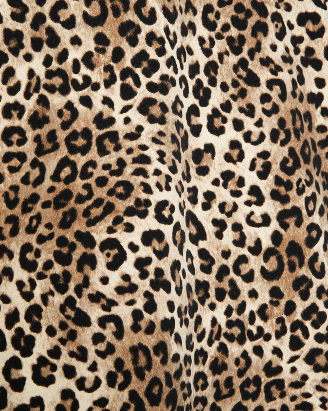 【3月販売予定】“Leopard” Coach Jacket / 2610606