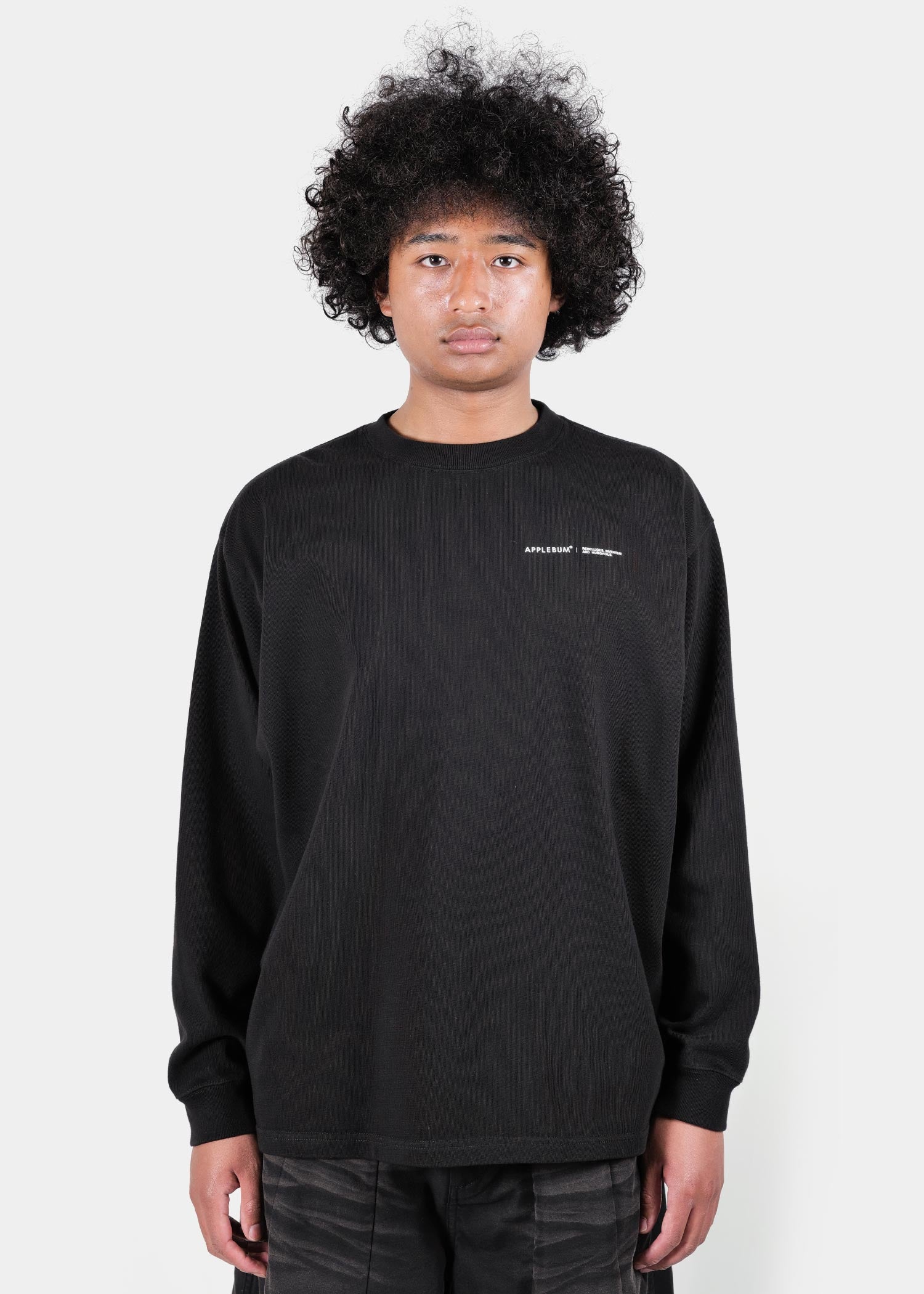 Logo L/S T-shirt / 2521101