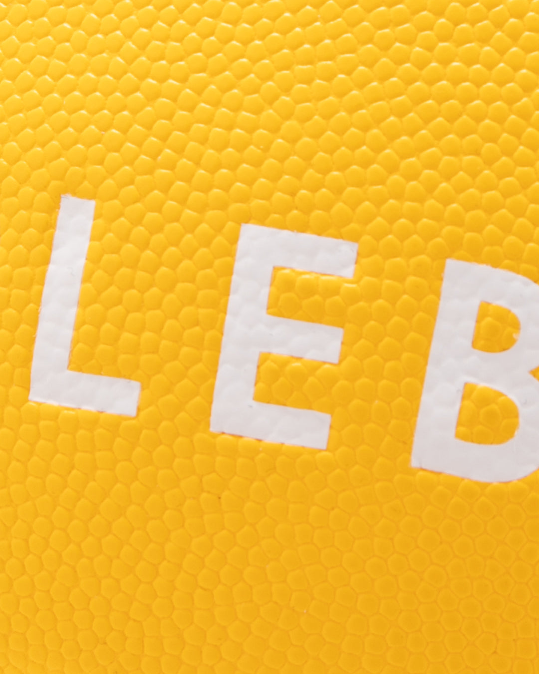 APPLEBUM × TACHIKARA CUSTOM BASKETBALL “Y.E.L.” / 2611010Y