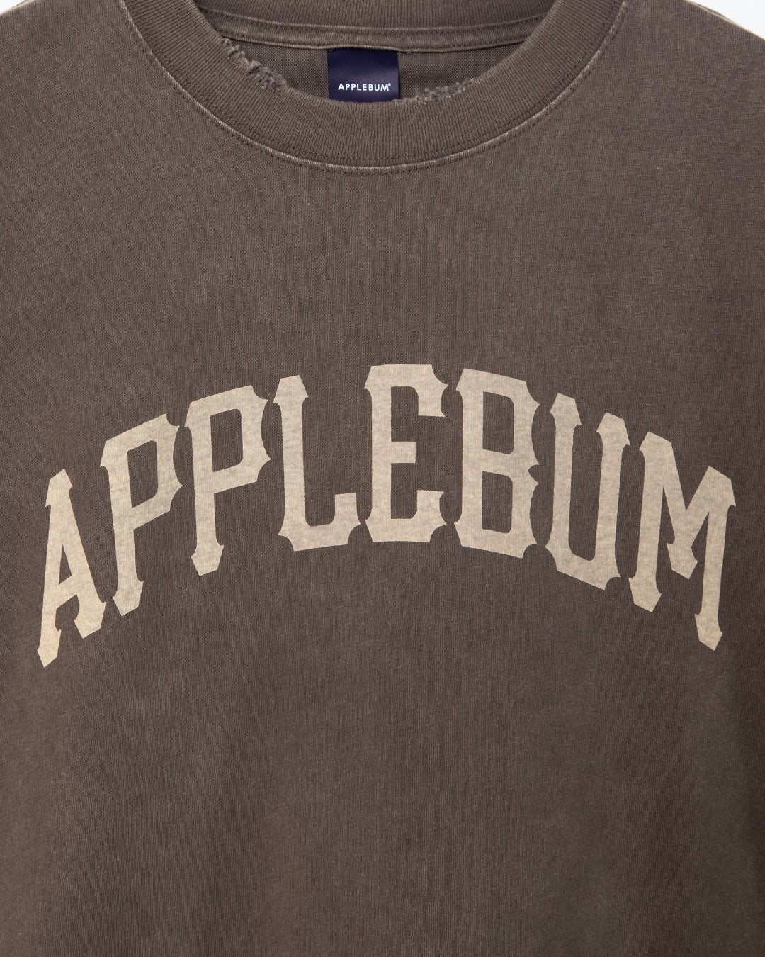 【4月発売予定】Damaged Short T-shirt / 2611120