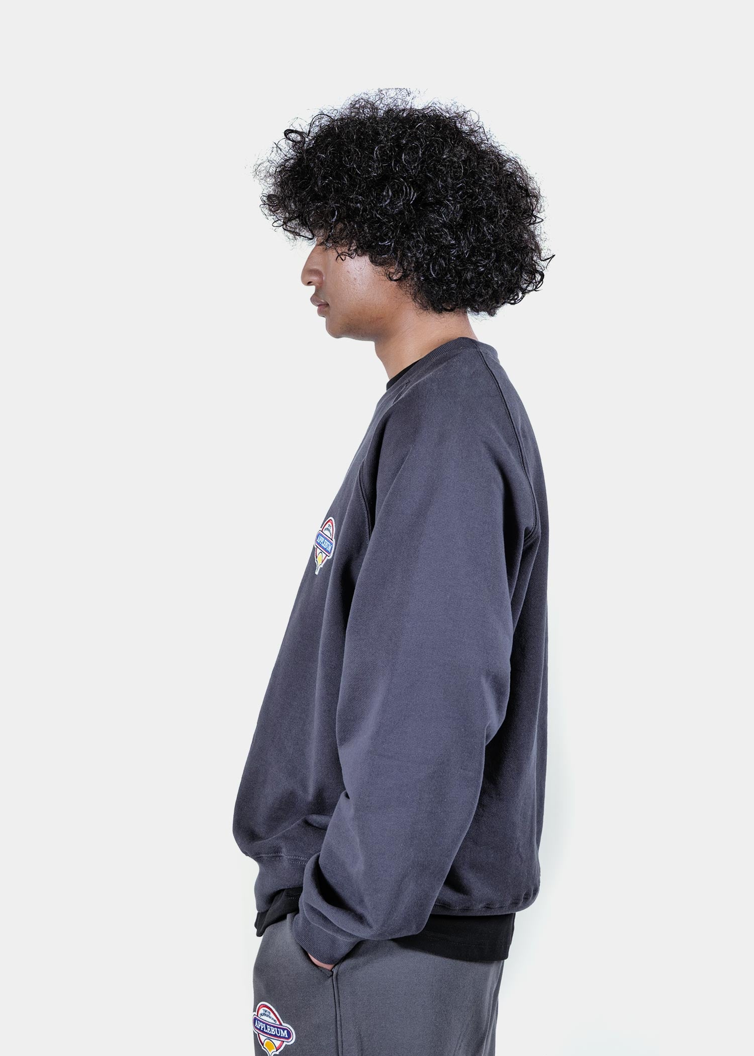 Wappen Crew Sweat / 2520410